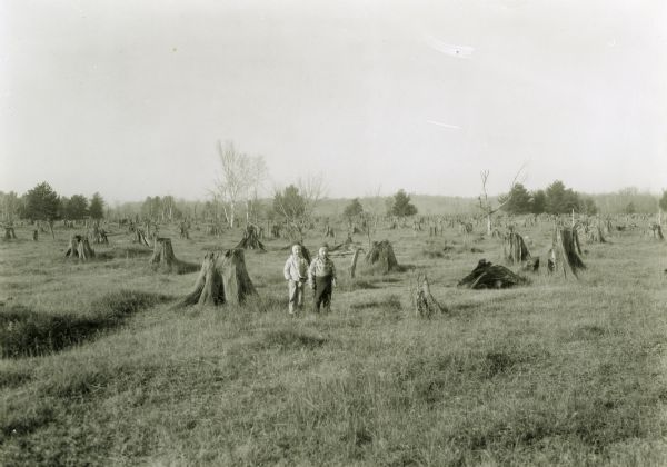 Two boys standing among stumps in northern Wisocnsin cutover land. T. 34N R. 9E on Highway 17. Trees cut approximately 40 years before photograph was taken (ca. 1897).