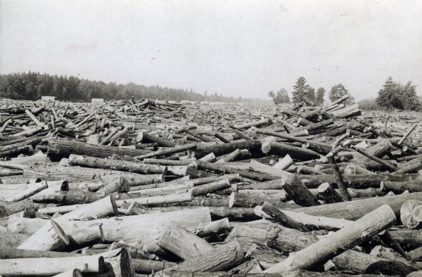 Log jam at Big Eddy on the Chippewa River during the Chippewa Lumber & Boom Company log drive. There is a bridge in the distance, and trees are along the shoreline.