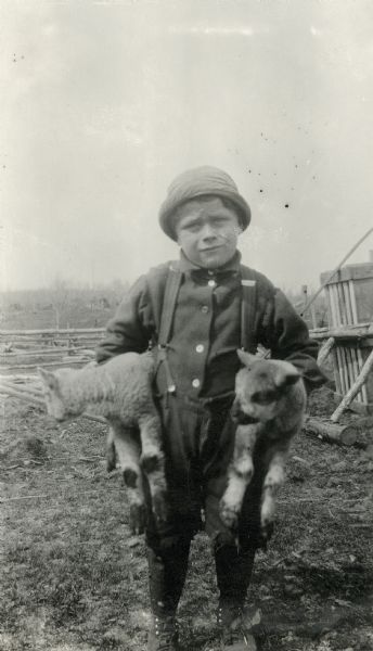 Young Thomas Oliver Mattis holds two lambs.