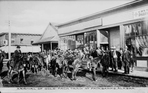 View of a group of miners arriving in Fairbanks with their gold. One man is riding a mule. Caption reads: "Arrival Of Gold-Pack Train At Fairbanks, Alaska."