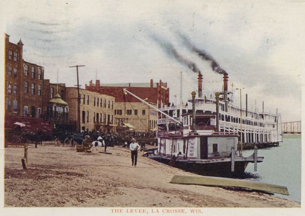 Levee in harbor, with boats, horse-drawn carriages, and steamboats. Caption reads: "The Levee, La Crosse, Wis."
