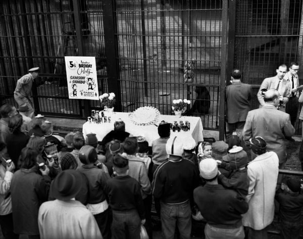 Children and adults gathered in front of the gorilla cages at the Washington Park Zoo to celebrate the fifth adoptive birthday party for Samson and Sambo. The party was sponsored by Pabst Sparkling Beverages. A table in front of the cages holds cans of soda and a cake.