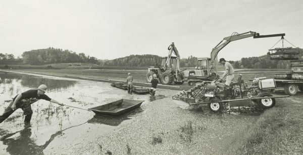 Group of men harvesting cranberries.