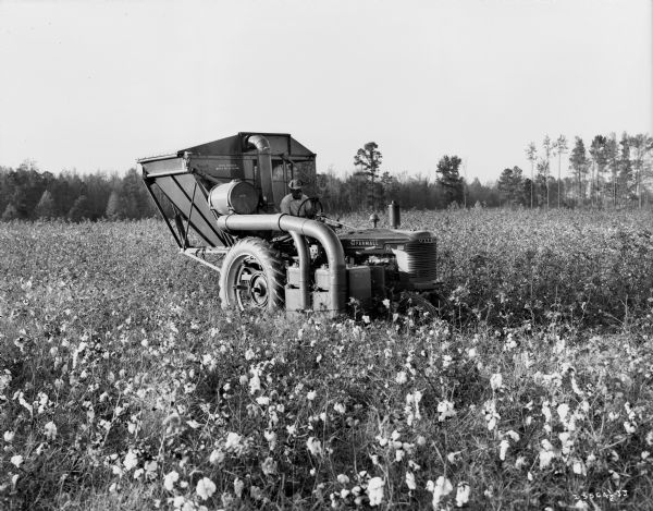 HM-110-L cotton picker attached to a Farmall H tractor in a cotton field. A man is sitting at the wheel of the tractor.
