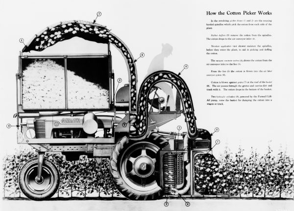 Cutaway left side profile view illustration of cotton picker on Farmall M tractor, including the silhouette of a man sitting at the controls. Caption reads: "How the Cotton Picker Works" with explanation of how nine numbered parts — the picker drums, the rubber doffers, the vacuum conveyor system, the air blast conveyor system, the grates, the basket, and the hydraulic cylinders — work.