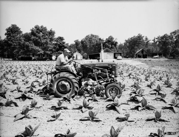 Side view of a man cultivating tobacco in a field with an International Super A tractor. A house and other buildings are among trees in the background, including a shed with a school bus inside, and a car in front of it.