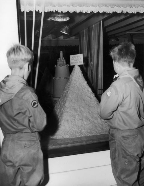 Two scouts look at a dairy exibit entitled Wisconsin Gold Nuggets at the Wisconsin State Fair. From left to right are Warren Sheard of Troop 35 in Burlington, and Loren Perry, also of Troop 35 in Burlington.
