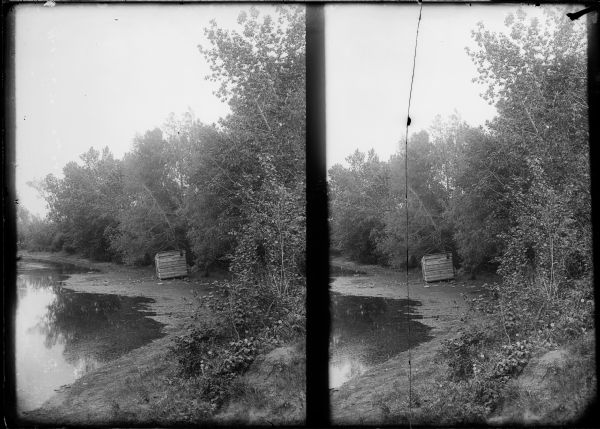 Stereograph of shoreline with what appears to be a duck hunting blind.