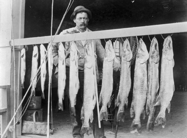 William Dunn, known as Pickerel Billy, standing behind a display of twelve pickerels. Pickerel Billy supplied pickerels from Lake Mendota to downtown hotels and Mendota State Hospital after the Civil War until his death in 1925. He enlisted in the 21st Wisconsin regiment at age 12.