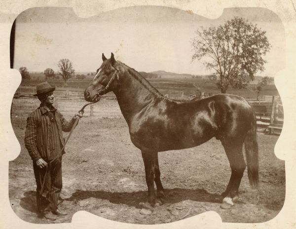 Man in a hat and striped suit holding the lead of a bay horse in a fenced area.