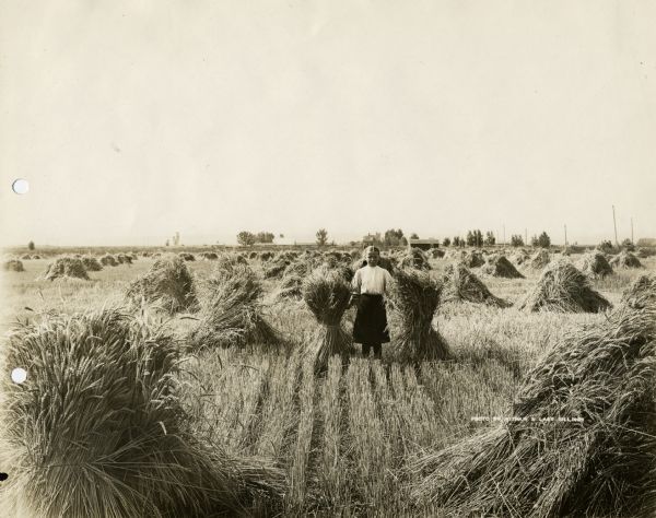 Girl standing in field between shocks of wheat.
