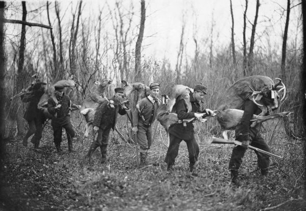 Hunters dragging deer from woods. In the center is Frank Langeois, son of Joseph Jr.