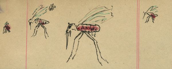 Drawing of five mosquitoes in flight.