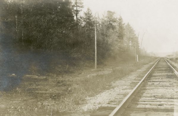 View down railroad tracks at the edge of a forest. The caption reads "mile post 270".
