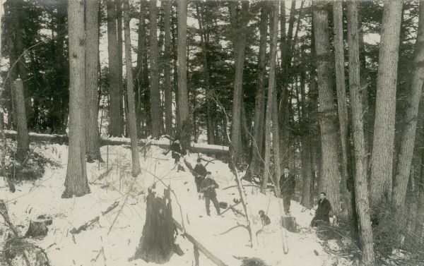 Men hiking through a forest in the snow "near Camp Sydney". Some of the men have guns, and a dog is sitting in the snow.
