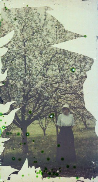 Autochrome portrait of a woman standing in an orchard beneath a blossoming cherry tree.