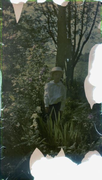 Autochrome portrait of a young boy standing in an orchard beneath a blossoming cherry tree. He wears a white blouse and hat.