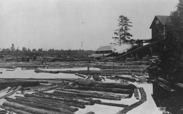View looking east of logs floating in the pond at Scouler & Jacobson Lumber Company. Logs were dumped into the pond from the rollways on the left and sent up to the second floor of the mill via the bull-slide on the right. The man with the pole guiding the logs to the bull-slide was called the pond-monkey. The building beyond the sawmill was a lumber shed.