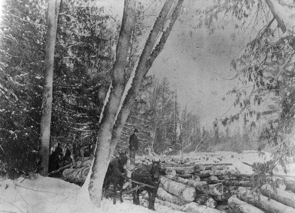 Winter view with men logging on the Little Wolf River during the winter of the "blue snow". Logs are being decked on the ice and along the shore.  Horse teams are being used to move the logs.