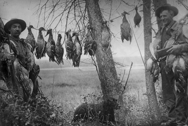 Two men standing holding guns, with birds draped around their necks from hunt. Line strung between trees shows additional kill from duck hunt. A dog is sitting in the grass between the men.