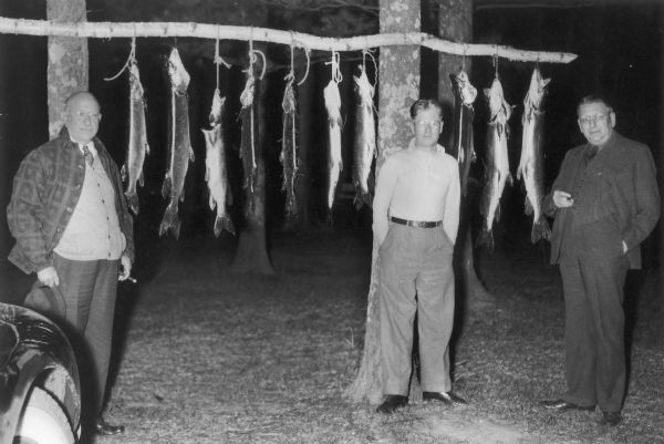 Governor Philip Fox La Follette (center) together with Governors Horner (Illinois) and Kraschel (Iowa) pose in front of the fish they caught during a fishing expedition at Trout Lake.