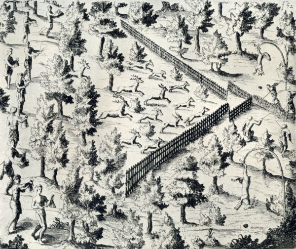 Drawing of Native Americans chasing deer into an enclosure during a hunt.