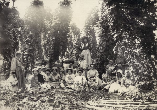 A group of women posing amidst the hops plants in a field. Most of the women are wearing hats, aprons, and dresses. Some have picnic baskets and many are eating and drinking. One woman is holding a young child in her lap.