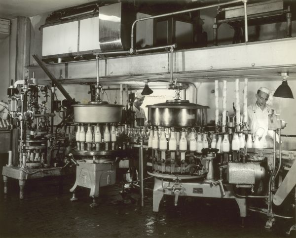 Two dairy workers run a milk bottling machine at Golden Guernsey Dairy.