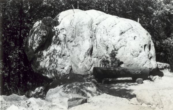 Elephant Rock, located on one of the bluffs at Devil's Lake State Park. In front of the rock is a wooden bench with "Elephant Rock" carved into it.