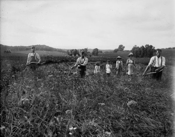 Three men scythe a field, possibly of wheat. Behind the men there are three children and a woman standing in a row.