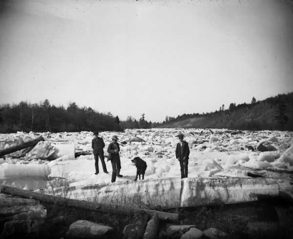 Three men and a dog are standing on thick chunks of ice looking over logs on an icy river.	