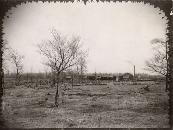 Cutover land near a lumber mill. Logs and boards are stacked near the building in the background.