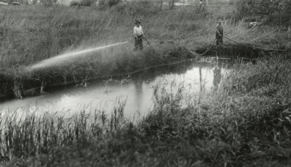 Two men operating a hose to spray DDT into tall grass near water.