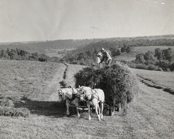 View from front of two men wearing hats standing atop a wagon piled with hay that is being pulled across a partially cut hay field by two horses.