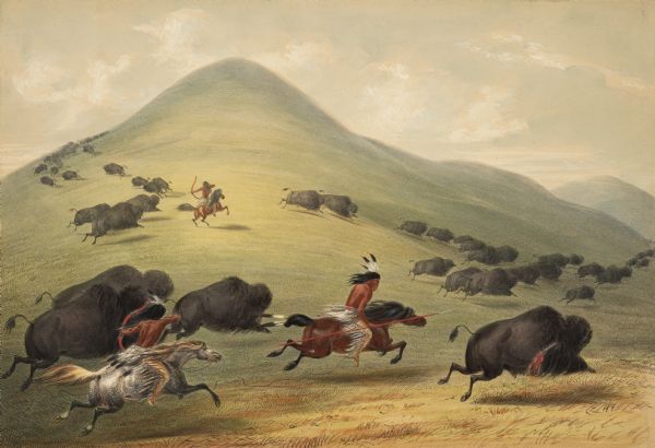 Indians on horseback hunting buffaloes (Plate 6).<p>"In this Plate, representing a numerous group in motion, and closely pursued by a party of Indians, with Lances and Bows, there is a fair illustration of the peculiar character of a vast deal of the rolling prairies in the great plains towards the Rocky Mountains; and which, by a phrase of the country, denominated Prairie Bluffs. These conical hills, which often rise to the height of several hundred fret, sometimes continuing in ranges and in regular succession, for a great number of miles, like tremendous waves of the ocean, are everywhere divested of timber sad shrubbery, and covered with a short grass; and during the spring and summer months, watered by frequent showers robbing them constantly with the most intense and verdant green. These are the most favorite haunts of the buffaloes; and when hotly pursued they will often seek the highest summits to avoid the approach, of their enemies; but even there, at seen in the illustration, the sinewy wild horse will carry his rider by their sides, where death is as inevitable as upon the level ground."</p>
