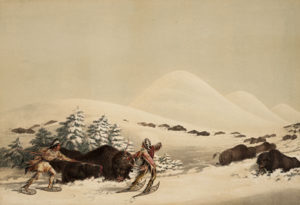 Indians on snowshoes hunting buffaloes immobilized by snow (Plate 15).<p>"In this plate is illustrated the mode alluded to in the preceding page, of the Indians hunting in the depth of winter, running on their snow-shoes, which support them on the surface of the snow, whilst the great weight of the buffalo and other animals sinks them down and fastens them in the drifts of the snow, where they fall easy victims to the arrows and lances of their cruel pursuers. The Indians are induced to slay these noble animals for their skins, which, when manufactured into robes, are vended to white men in vast quantities, for rum and whiskey; and as the fur is longer and more valuable, and the animals more easily slain at this inclement season of the year than at any other, it is then that the wholesale slaughter takes place, which is rapidly thinning their ranks, and will soon extinguish their species in North America."</p>