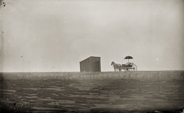 View across a field of a horse-drawn wagon next to a small, wooden shed.