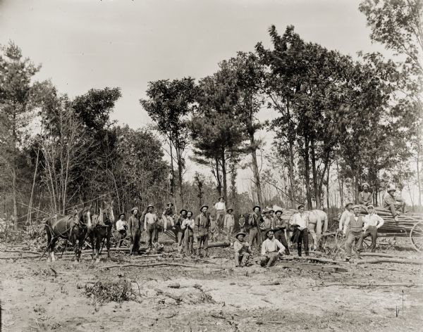 A group portrait of Minnesota loggers posing in the woods with two teams of horses.