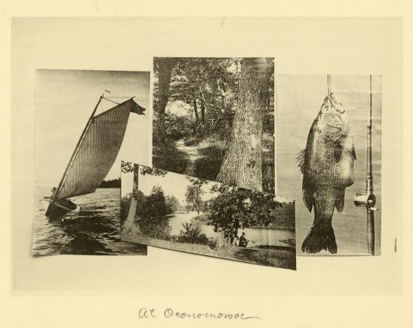 A collage of images including a sailboat, a fish, a man fishing, and a forest scene.