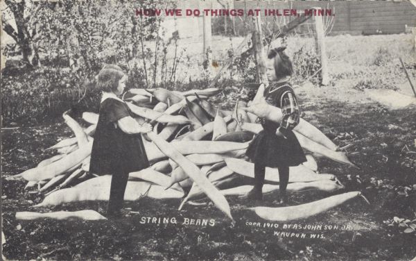 Two girls stand in front of a large pile of giant string beans. Red text in the upper portion of the image reads, "How we do things at Ihlen, Minn."