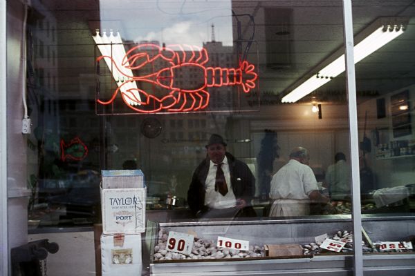 A business man stands in a seafood store with a neon lobster sign. He is watching the construction of the World Trade Center through the window.
