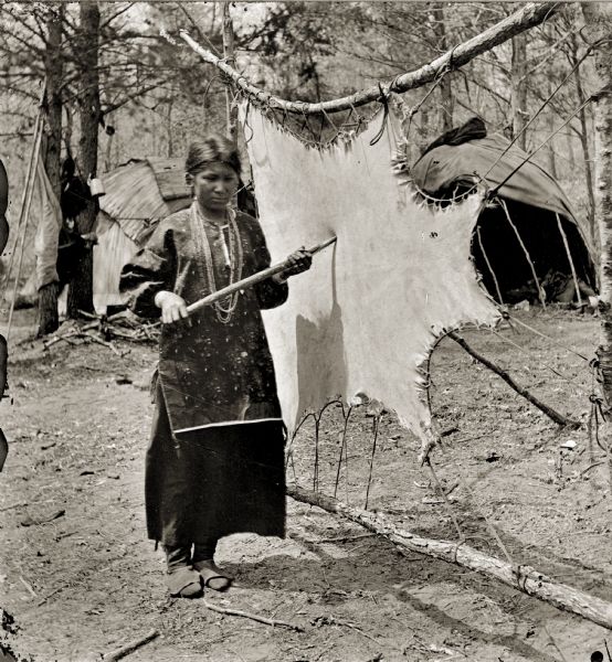 Ho-Chunk woman tanning a buckskin. Typical dwellings (ciiporokes) are in the background.