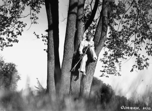 Ojibwa man sitting in a cottonwood tree, holding a bow and arrow. The man is wearing a headband with a porcupine roach.