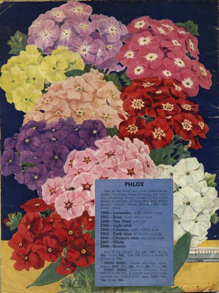 Back cover of the 1938 catalog for the John A. Salzer Seed Co., featuring a colorful variety of phlox. A portion of the modern train image from the front cover wraps around and can be seen at the bottom right.