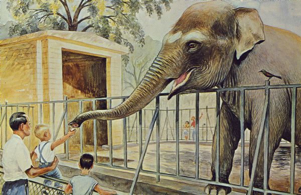 A watercolor painting by Jens von Silver presented to the zoo by the Rennebohm Drug Stores. The painting shows a child reaching up to feed an elephant at the Henry Vilas Zoo (Vilas Park Zoo). One of a series of 15 zoo paintings.