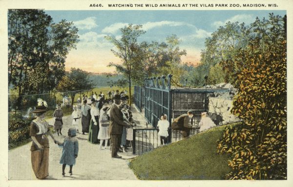 Early souvenir postcard with families watching the caged animals at the Vilas Park Zoo (Henry Vilas Zoo). Caption reads: "Watching the Wild Animals at the Vilas Park Zoo, Madison, Wis."