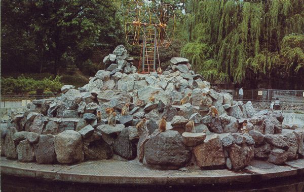 Monkey Island, a popular attraction at the Vilas Park Zoo (Henry Vilas Zoo).  It was built in the 1930s as a WPA project and modeled after one in the Hagenbeck Zoo in Germany.