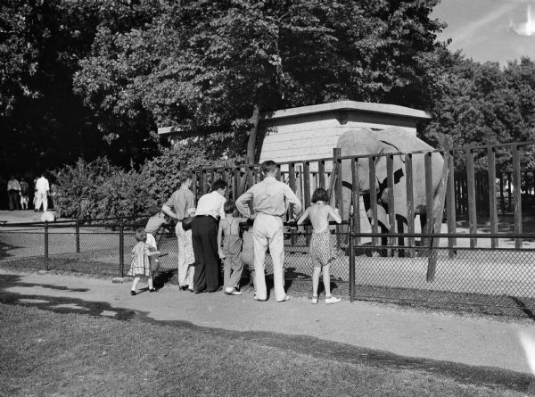 Children and adults watching the elephant at the Vilas Park Zoo (Henry Vilas Zoo). This photograph was made by Harold Home as illustration for "Wisconsin: A Guide to the Badger State."