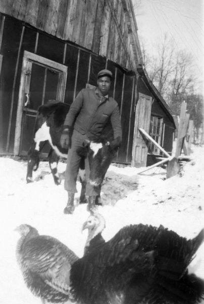 Eddie Arms stands near a barn with his arm around a cow. There are turkeys in the foreground of this winter scene.