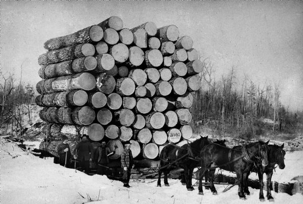 A team of four horses are pulling a sled loaded with a tall pile of logs in the snow. A group of four men stand near the sled. The ends of some of the logs have numbers on them.